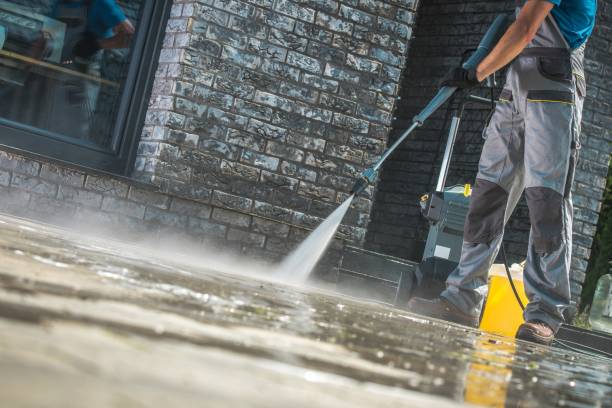 Best Graffiti Removal  in Colwyn, PA