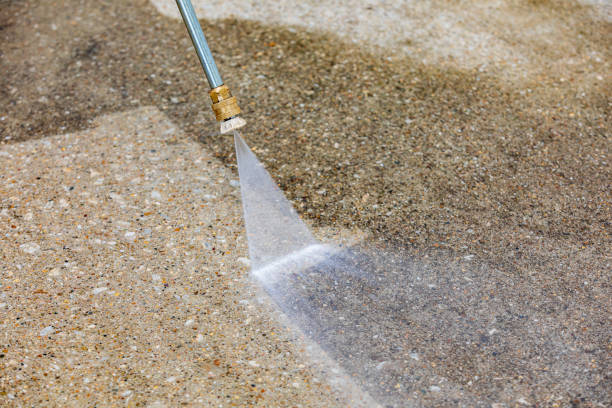 Best Driveway Pressure Washing  in Colwyn, PA