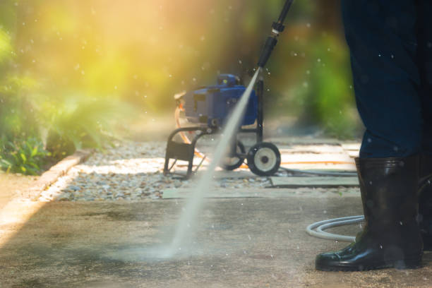 Best Solar Panel Cleaning  in Colwyn, PA